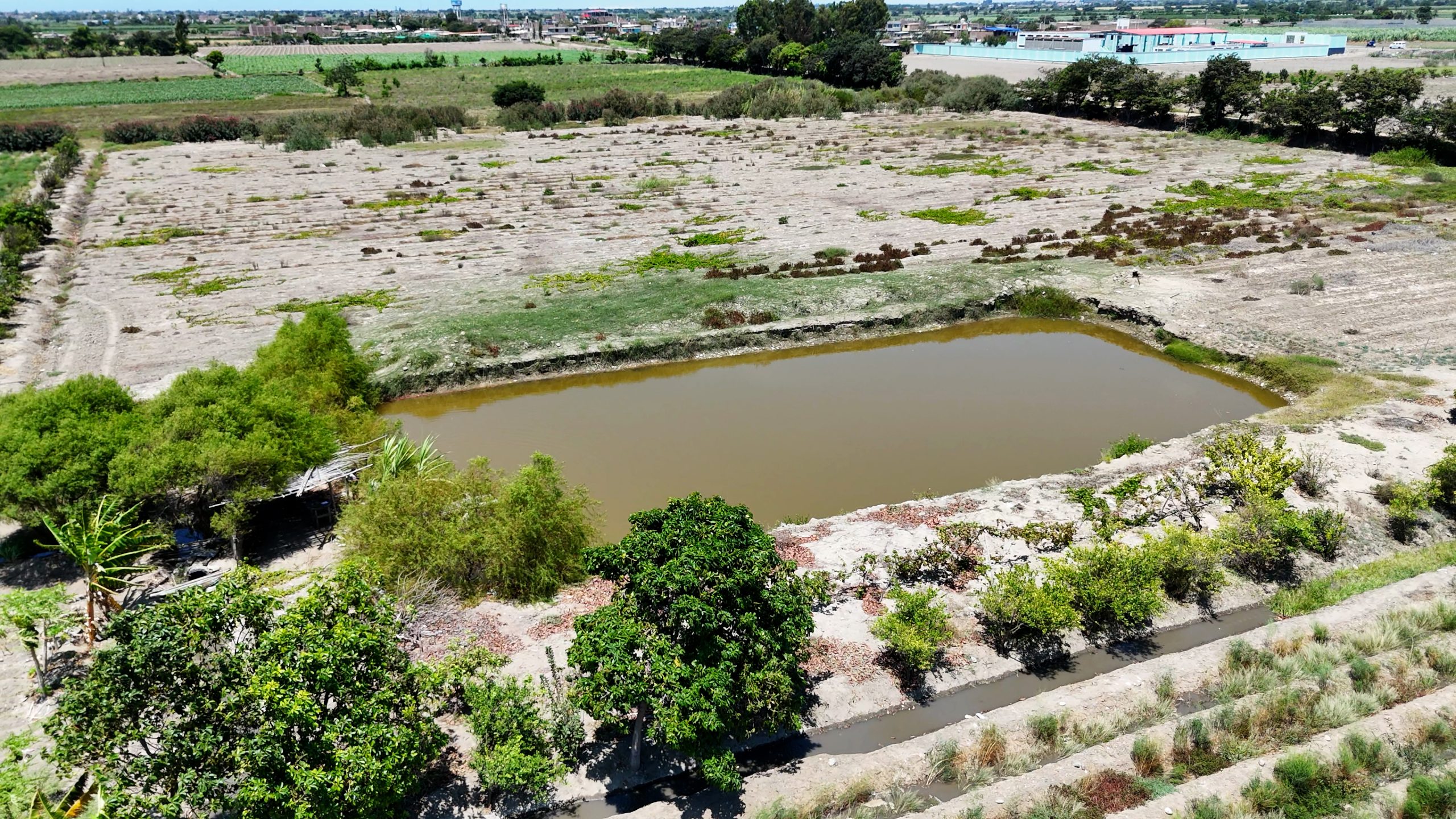 Terreno Agricola Venta Paijan – Macabi Bajo