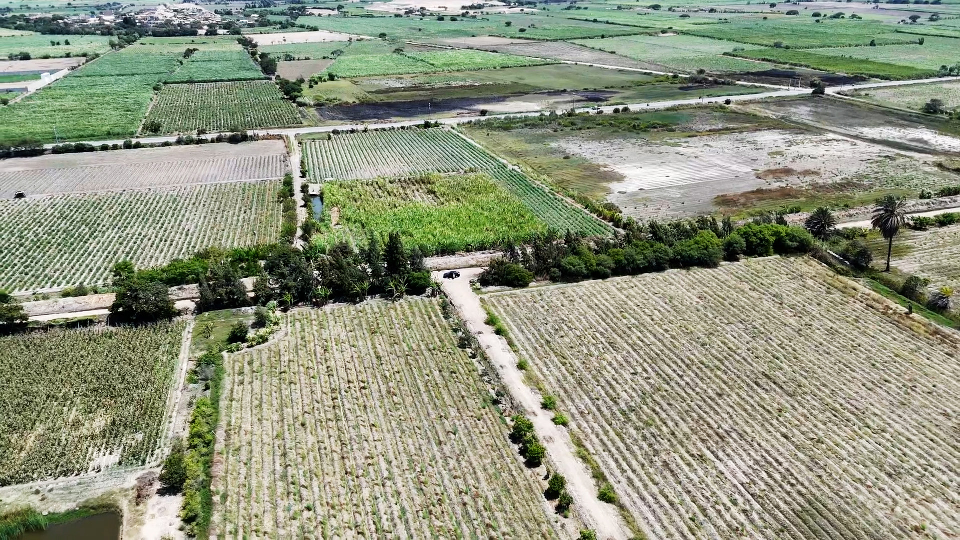 Terreno Agricola Venta Paijan – Macabi Bajo